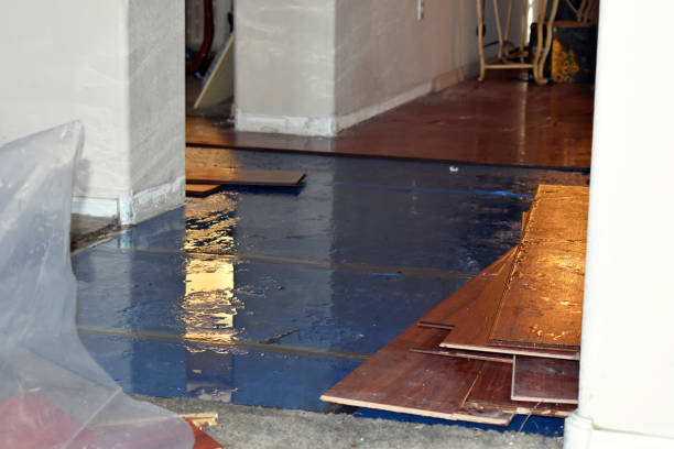 Professional Basement Flood Cleanup technician working in Bowler, WI